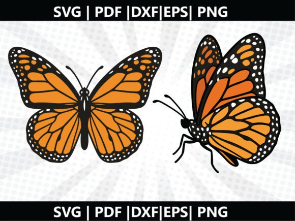 Butterfly SVG Cricut Cut File